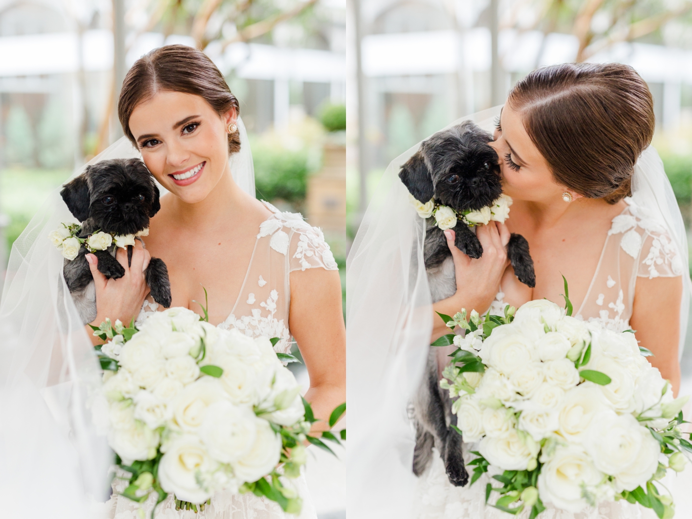 bridal session with dog 