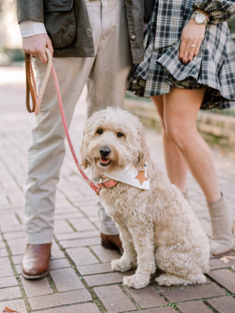 Engagement session with the couple's dog